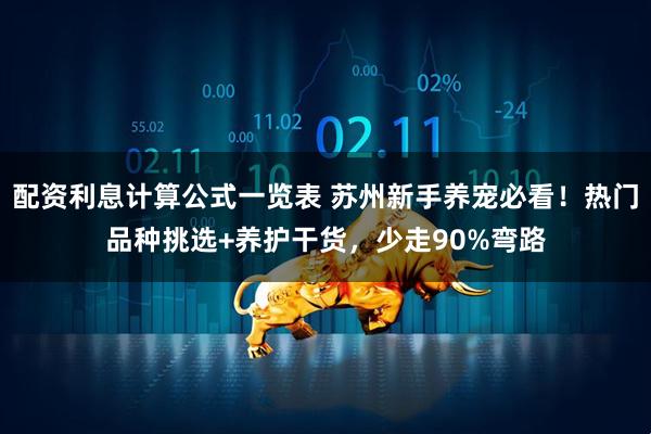 配资利息计算公式一览表 苏州新手养宠必看！热门品种挑选+养护干货，少走90%弯路